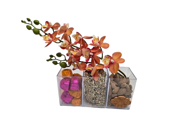 The Orchid Symphony