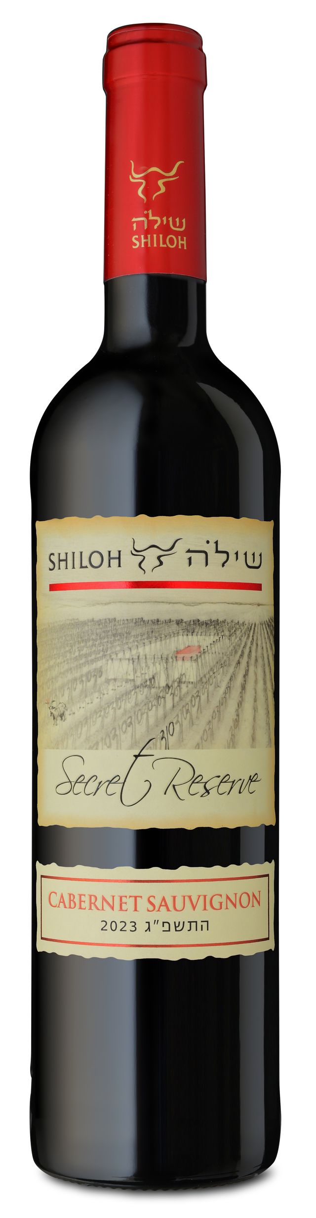 Shiloh Secret Reserve Cabernet Sauvignon