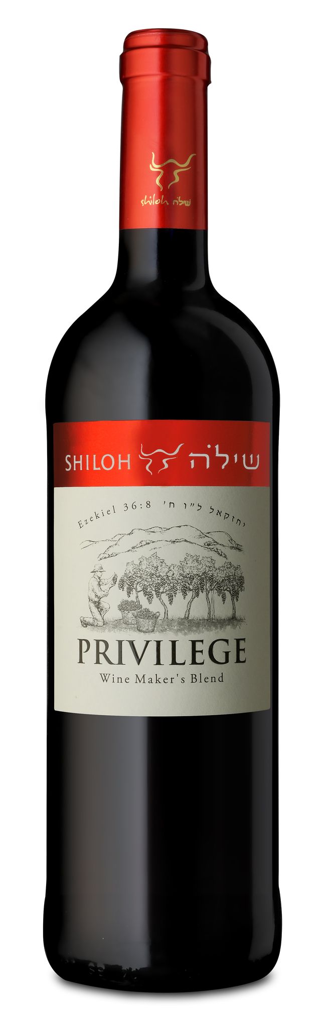 Shiloh Privilege Red - Mevushal