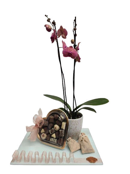 The Orchid Keepsake